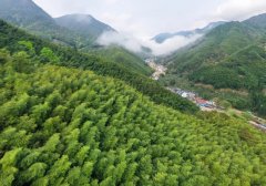 年创产值超8000亿元 福建不竭挖掘培育“